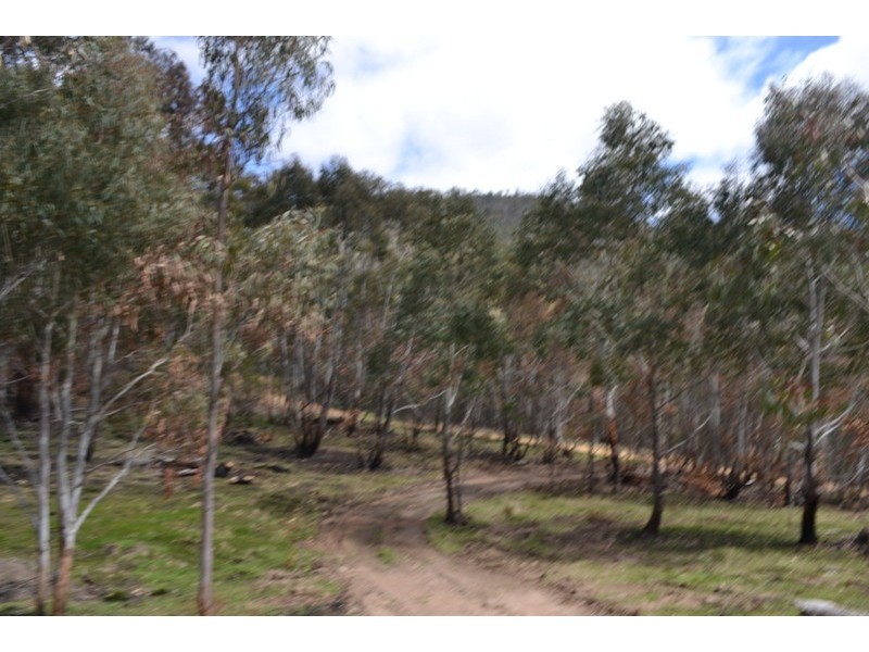 441 Bingo Tice Road, Omeo VIC 3898