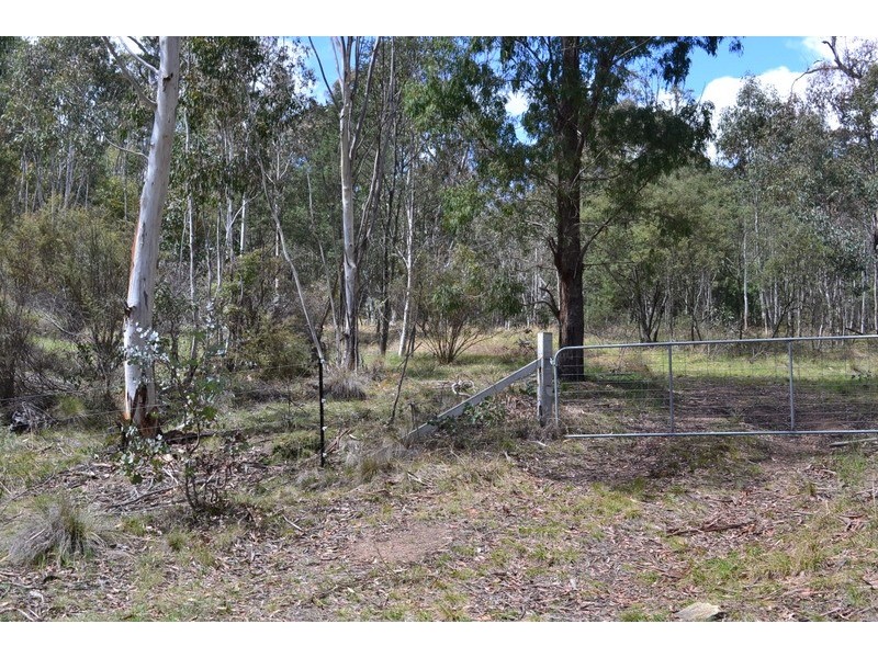 441 Bingo Tice Road, Omeo VIC 3898