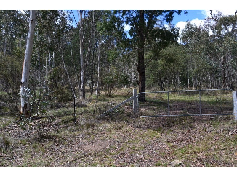 441 Bingo Tice Road, Omeo VIC 3898