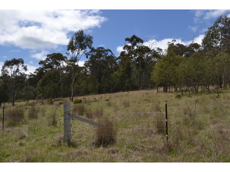 441 Bingo Tice Road, Omeo VIC 3898