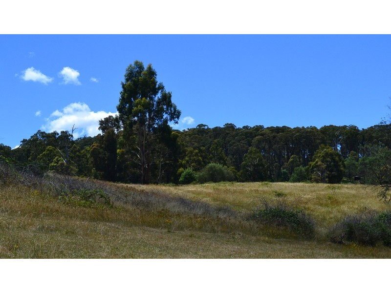 13 Snowys Track, Benambra VIC 3900