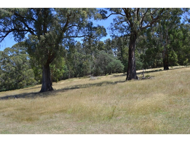 13 Snowys Track, Benambra VIC 3900