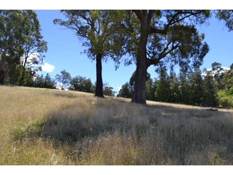 13 Snowys Track, Benambra VIC 3900