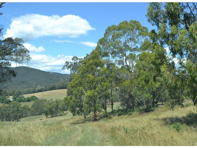 13 Snowys Track, Benambra VIC 3900