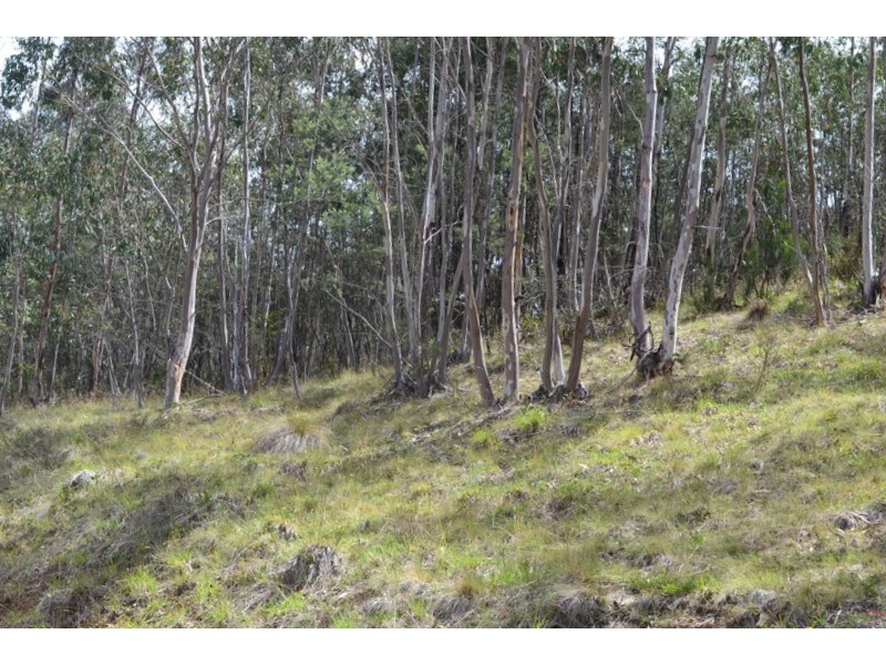 Lot 7 300 Cobungra Road, Cobungra VIC 3898