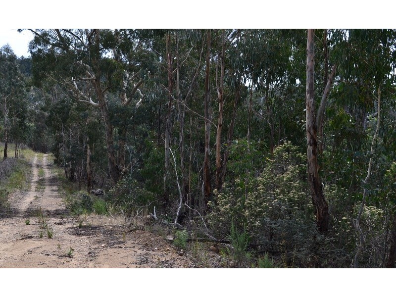 Lot 7 300 Cobungra Road, Cobungra VIC 3898