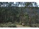 Lot 7 300 Cobungra Road, Cobungra VIC 3898