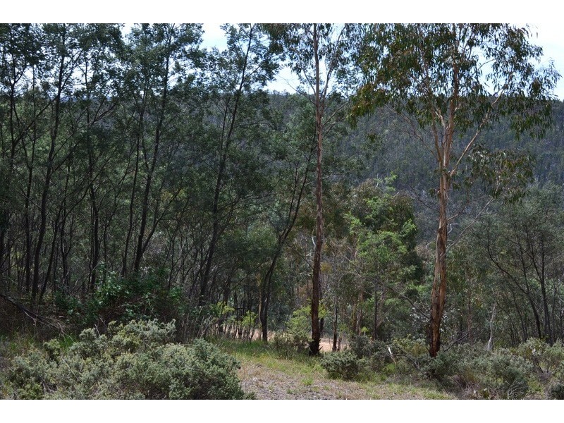 Lot 7 300 Cobungra Road, Cobungra VIC 3898