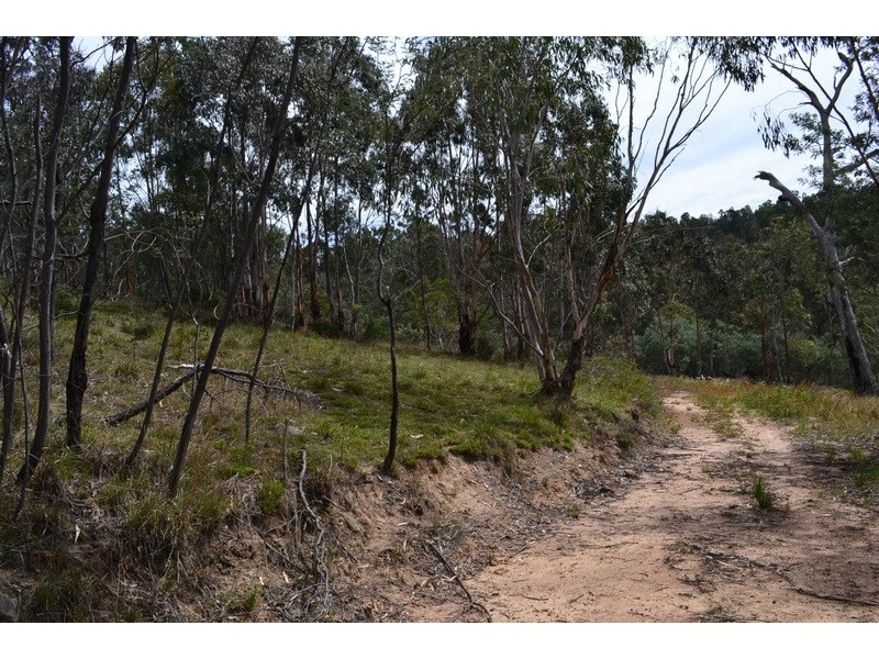 Lot 7 300 Cobungra Road, Cobungra VIC 3898