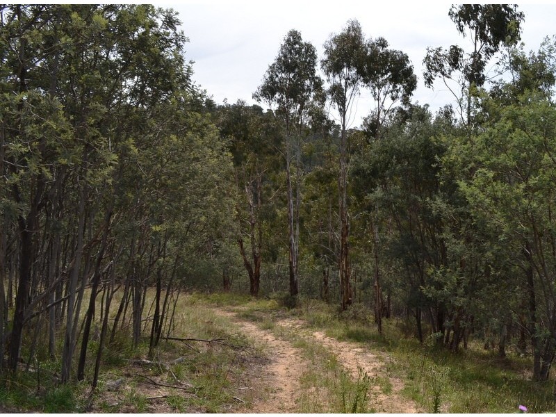 Lot 7 300 Cobungra Road, Cobungra VIC 3898