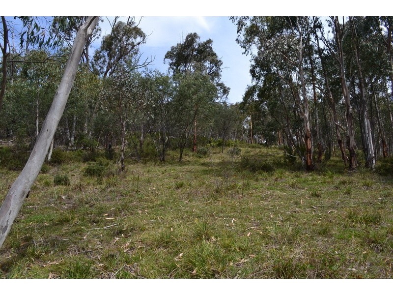 Lot 7 300 Cobungra Road, Cobungra VIC 3898