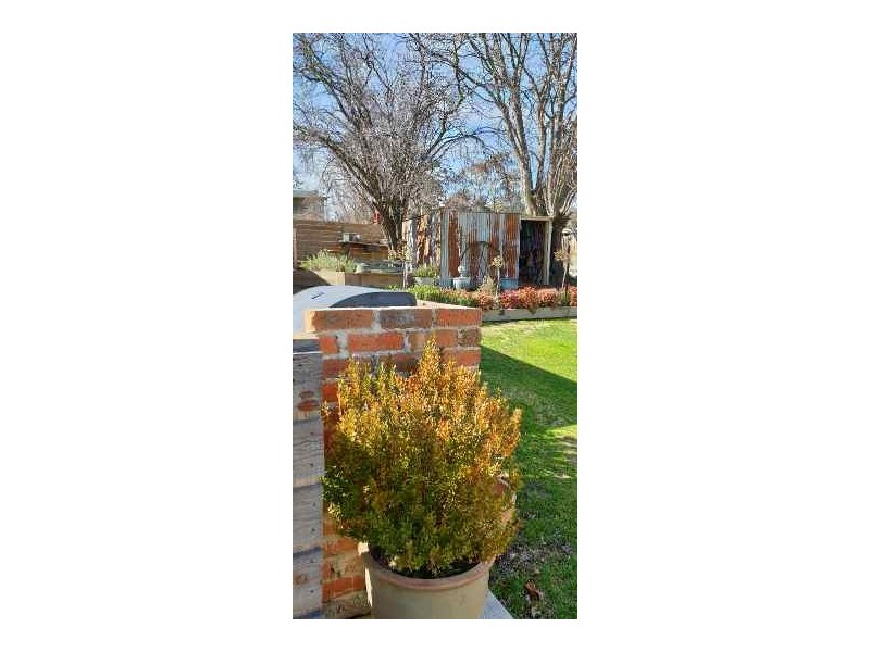 20 Mitta St, Omeo VIC 3898