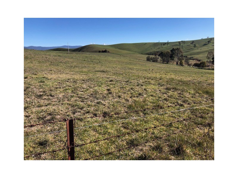 979 Benambra Road, Omeo VIC 3898