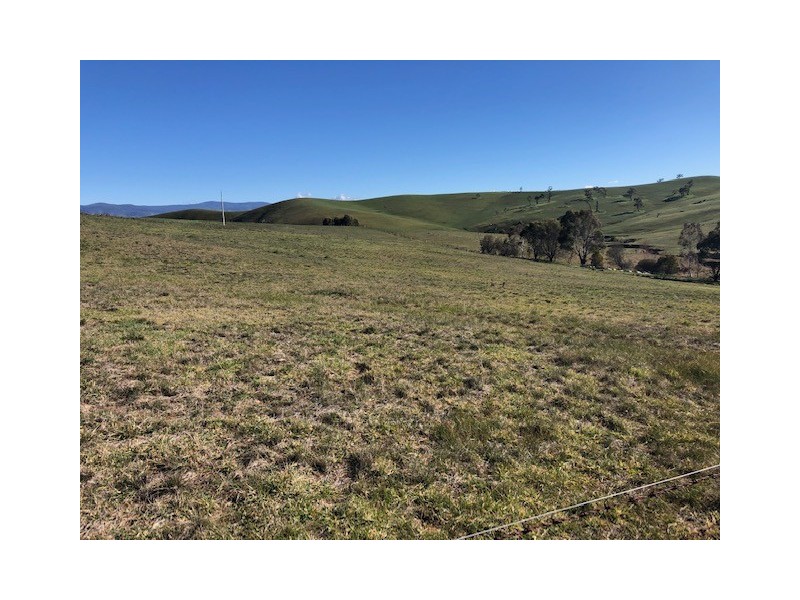 979 Benambra Road, Omeo VIC 3898