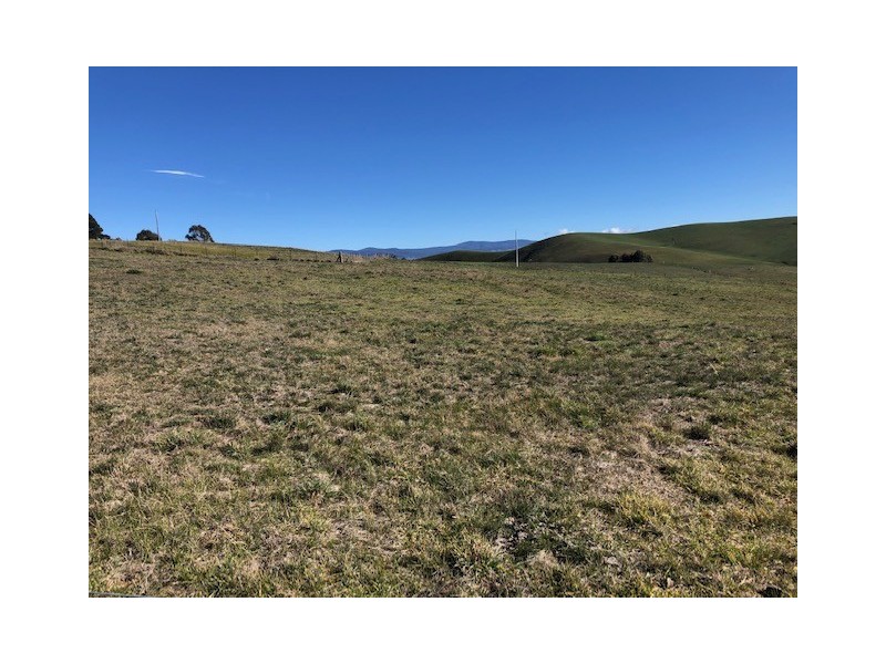 979 Benambra Road, Omeo VIC 3898