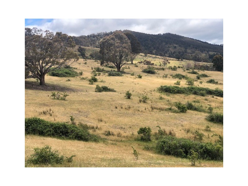 200 Dry Gully Road, Omeo VIC 3898