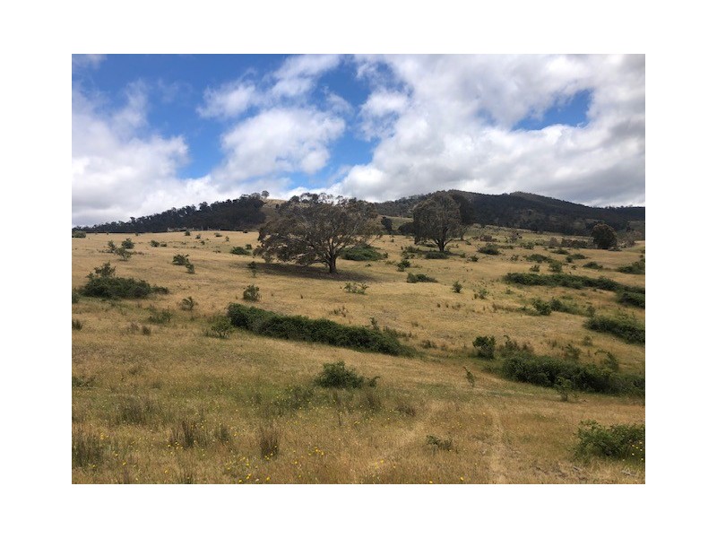 200 Dry Gully Road, Omeo VIC 3898