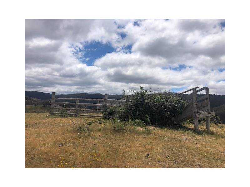 200 Dry Gully Road, Omeo VIC 3898