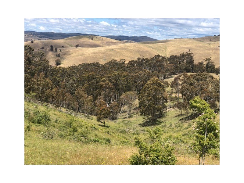 200 Dry Gully Road, Omeo VIC 3898