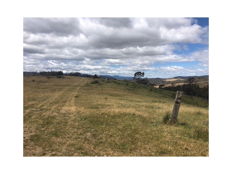 200 Dry Gully Road, Omeo VIC 3898