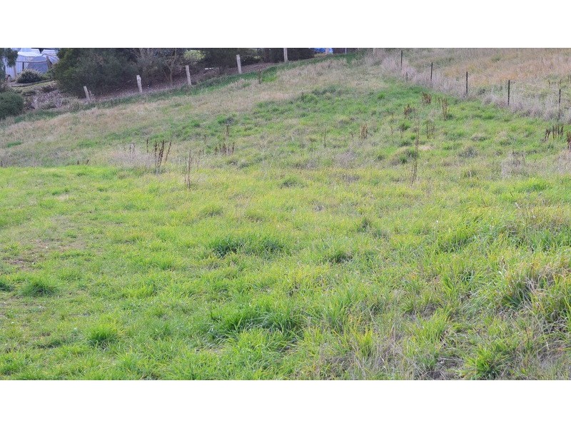 12 Cooper Street, Omeo VIC 3898