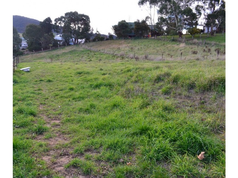 12 Cooper Street, Omeo VIC 3898