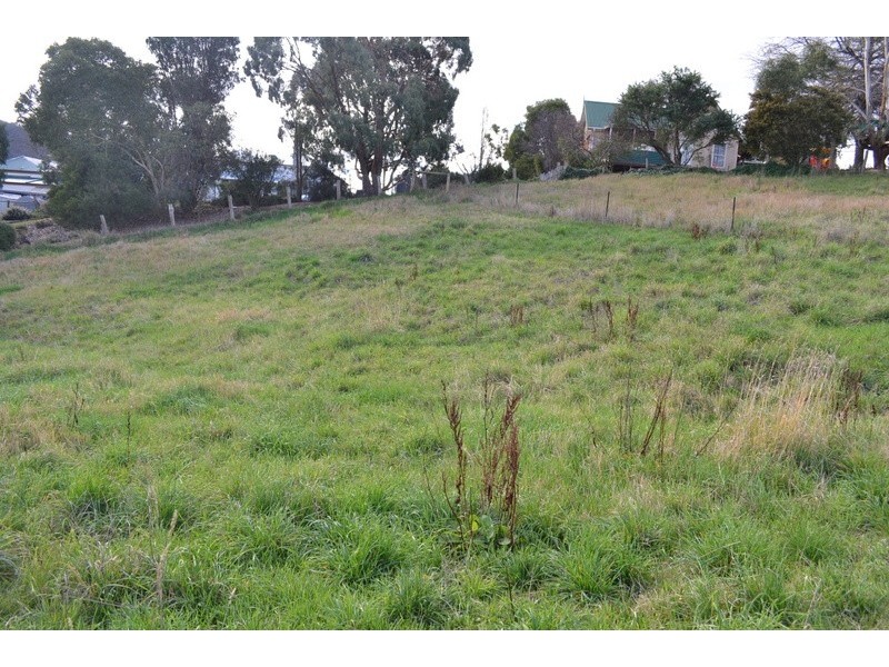 12 Cooper Street, Omeo VIC 3898