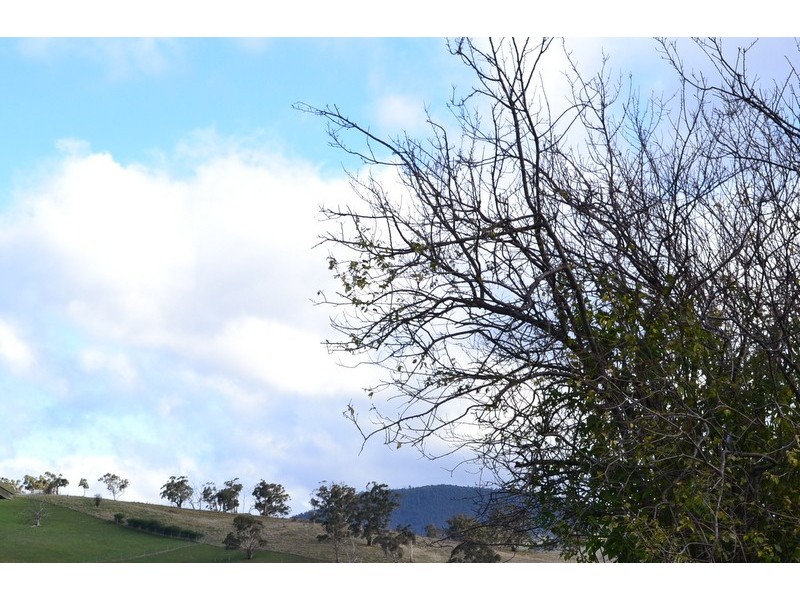 12 Cooper Street, Omeo VIC 3898