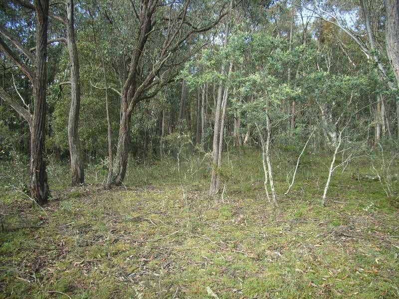 Lot 1 Burwood Road, Brookville, Swifts Creek VIC 3896
