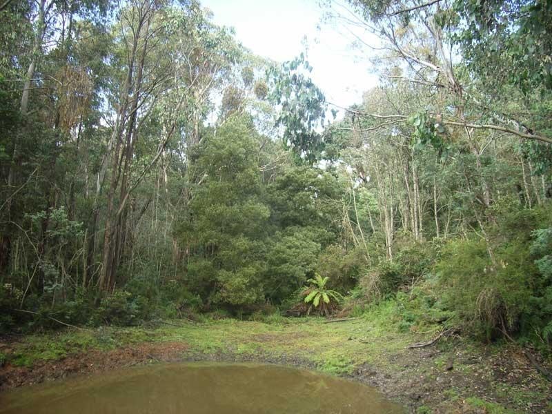 Lot 1 Burwood Road, Brookville, Swifts Creek VIC 3896