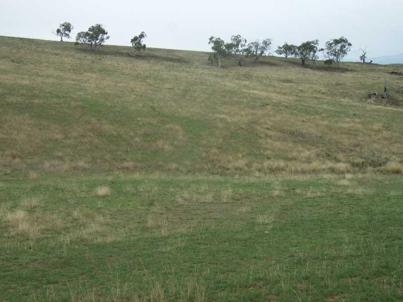 508 PARISH BOUNDARY LANE VIA OMEO, Hinnomunjie VIC 3898