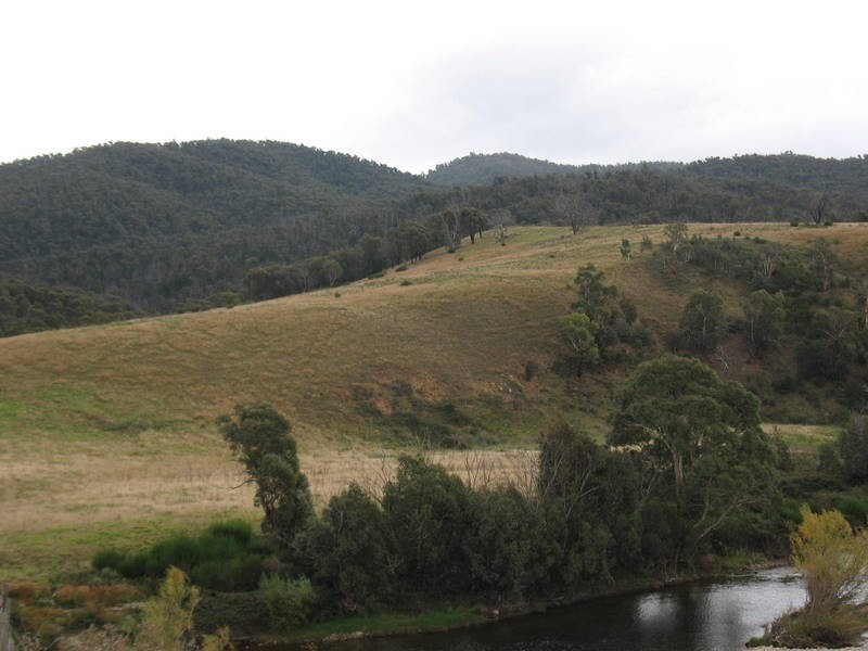 1199 Omeo Valley Road, Omeo VIC 3898