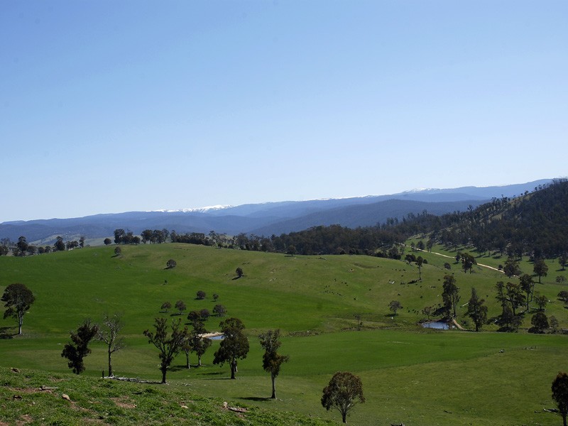 Lot 3, 227 High Forest Road, Omeo VIC 3898