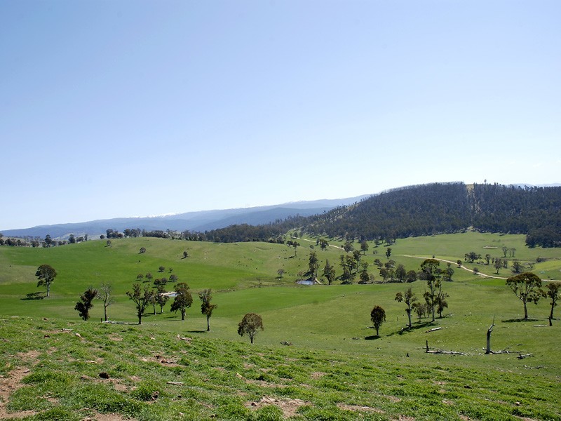 Lot 3, 227 High Forest Road, Omeo VIC 3898