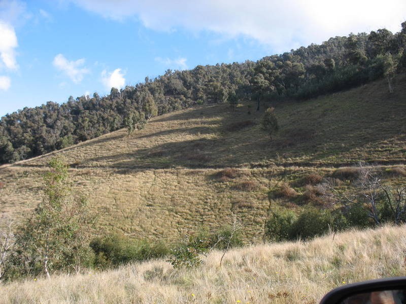 39 Connelys Road, Omeo VIC 3898