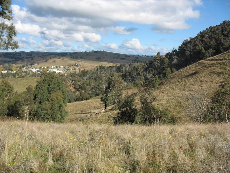 39 Connelys Road, Omeo VIC 3898