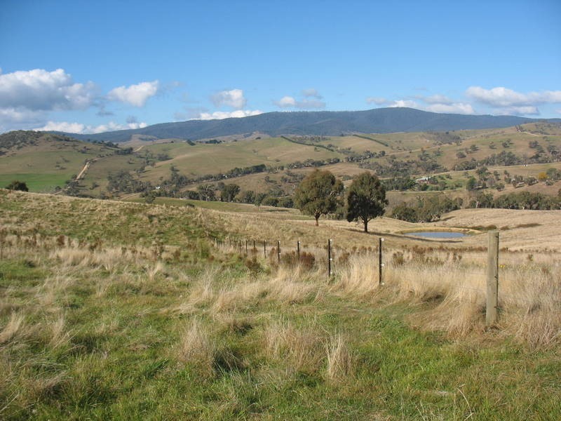 39 Connelys Road, Omeo VIC 3898