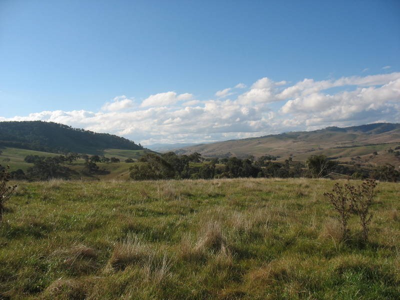 39 Connelys Road, Omeo VIC 3898