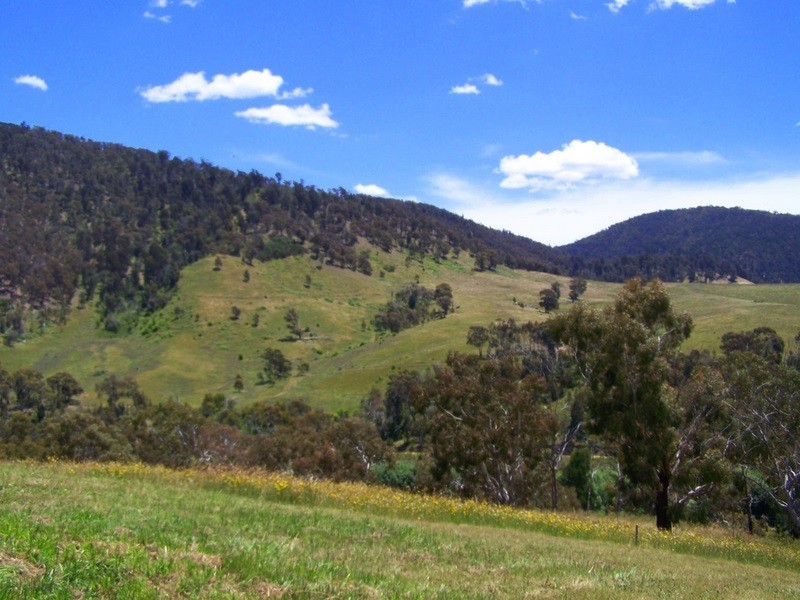 Lot 1/ Park Street, Omeo VIC 3898