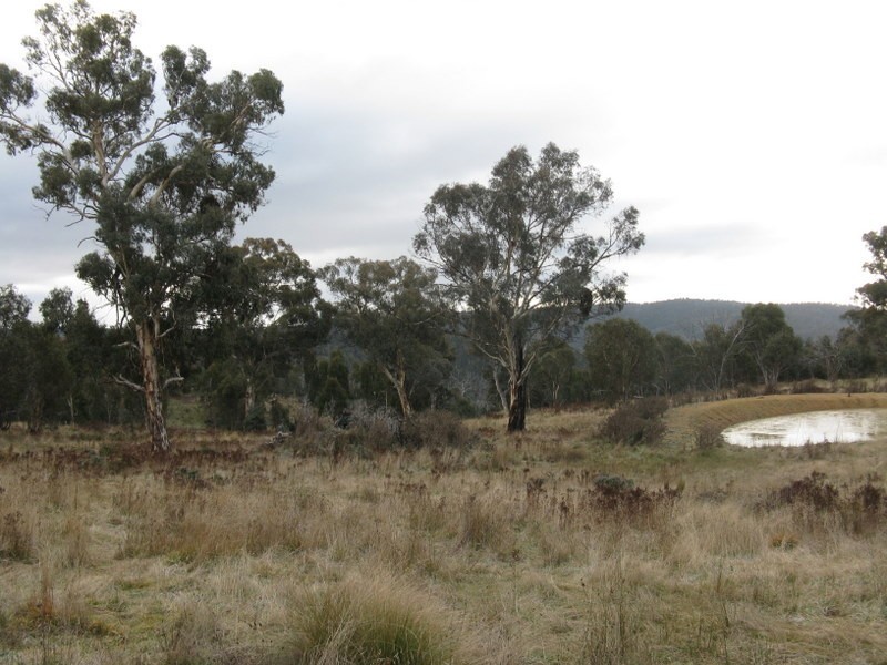 Lot 4 Fox Court, Cobungra VIC 3898