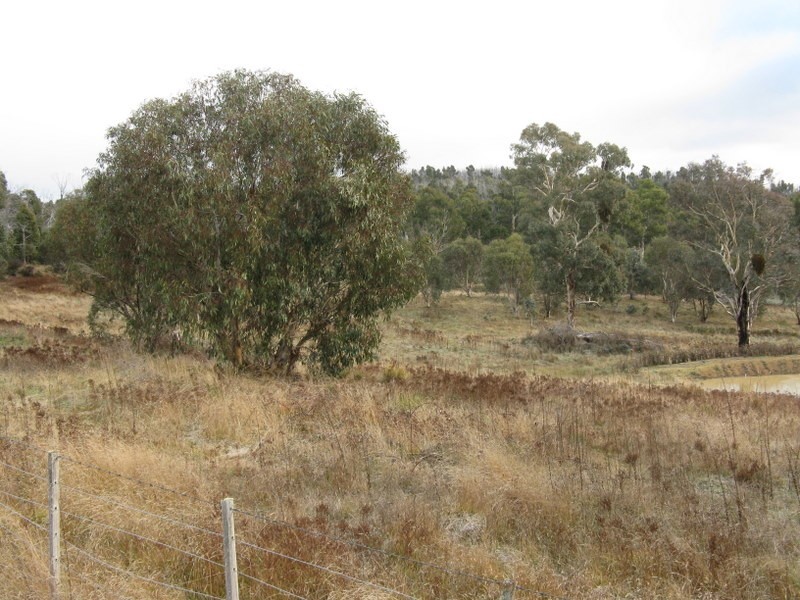 Lot 4 Fox Court, Cobungra VIC 3898