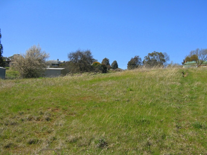 137 Day Avenue, Omeo VIC 3898