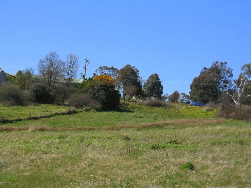 137 Day Avenue, Omeo VIC 3898