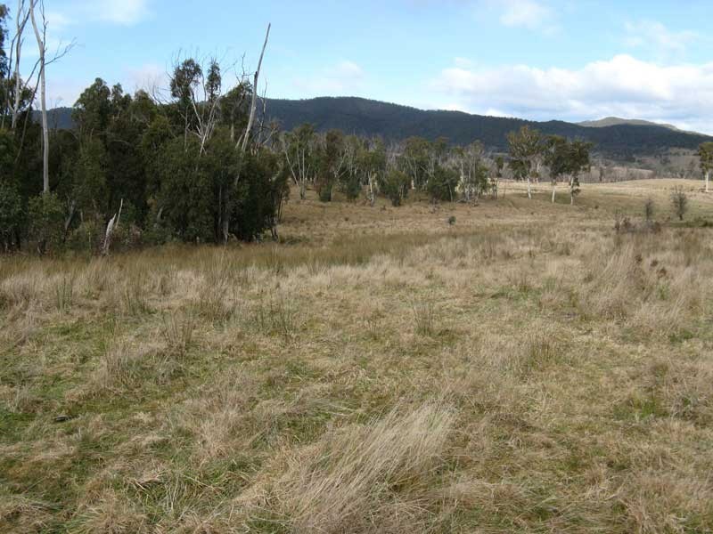 Lot 1 Tablelands Road Via Omeo, Benambra VIC 3900
