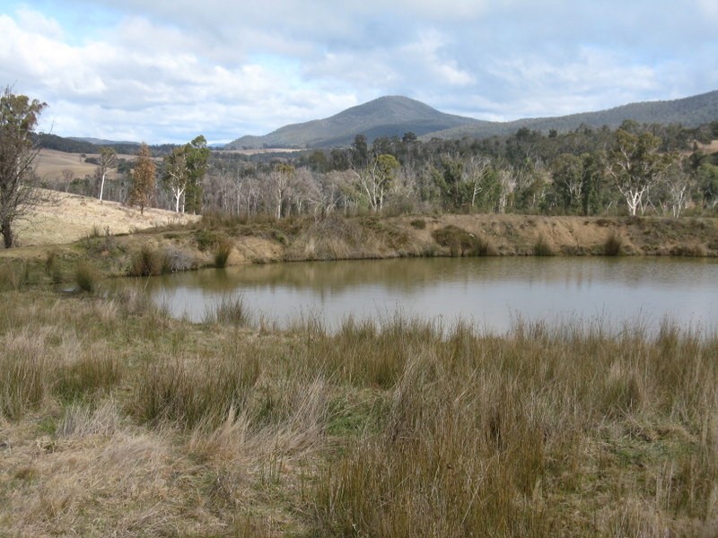 Lot 1 Tablelands Road Via Omeo, Benambra VIC 3900
