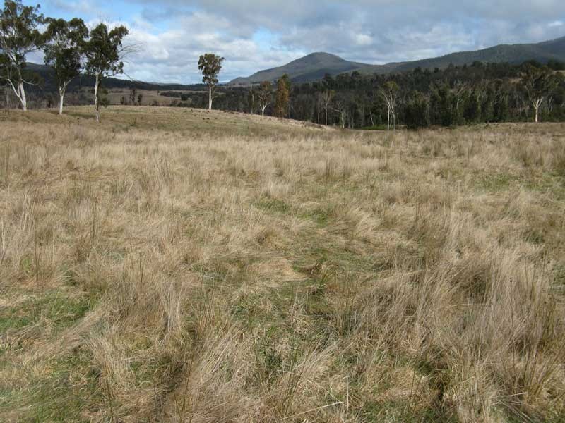 Lot 1 Tablelands Road Via Omeo, Benambra VIC 3900