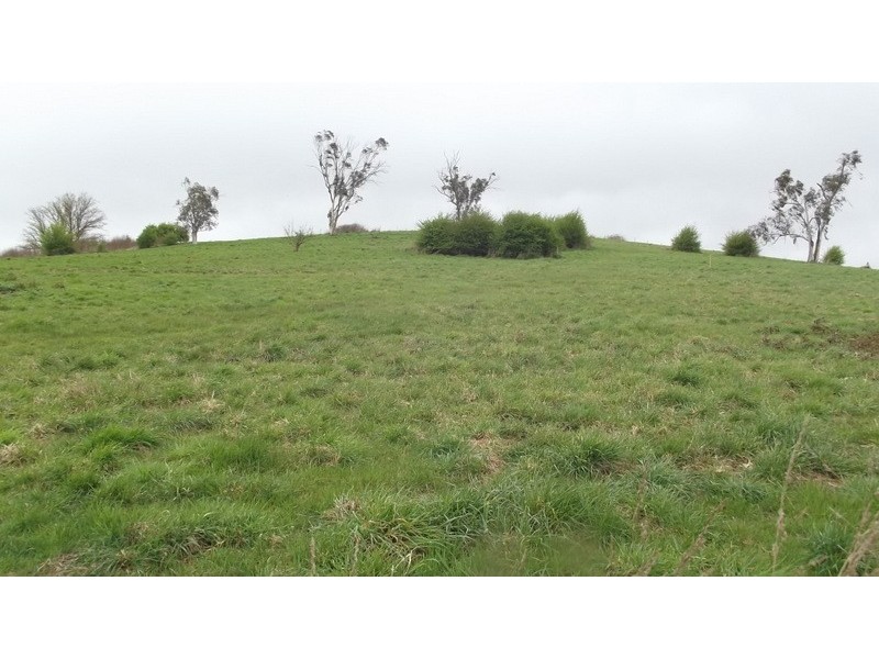 61 MacFarlane Street, Benambra VIC 3900