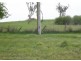 61 MacFarlane Street, Benambra VIC 3900
