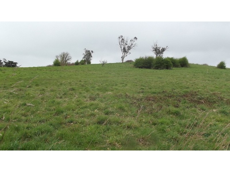 61 MacFarlane Street, Benambra VIC 3900