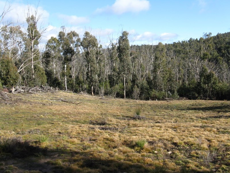 1186 Great Alpine Road Via Omeo, Cobungra VIC 3898